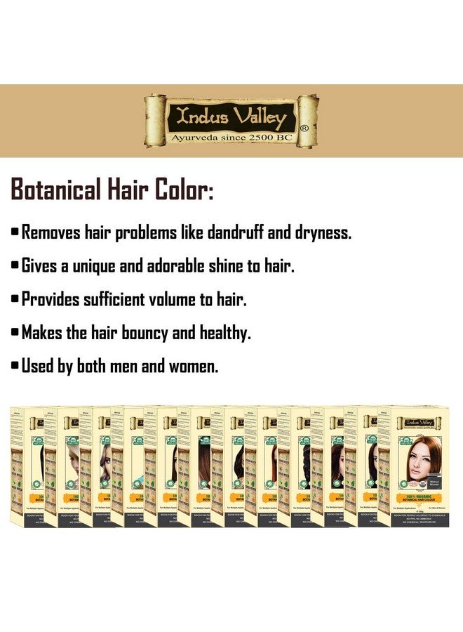 100% Botanical Organic Hair Color (Indus Black) 120G*3=360G