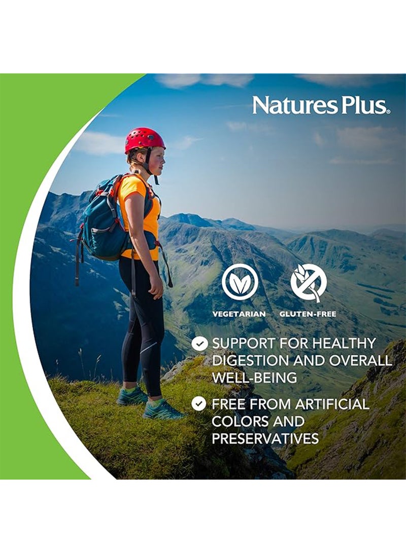 Natures Chewable Plus Papaya Enzyme Supplement Digestive Aid Natural Supplement Gluten Free 180 Tablets