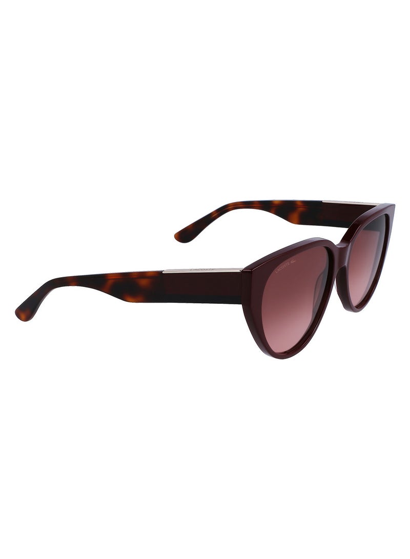Full Rim Acetate Oval Lacoste Suns L985S 5916 (603) Dark Red