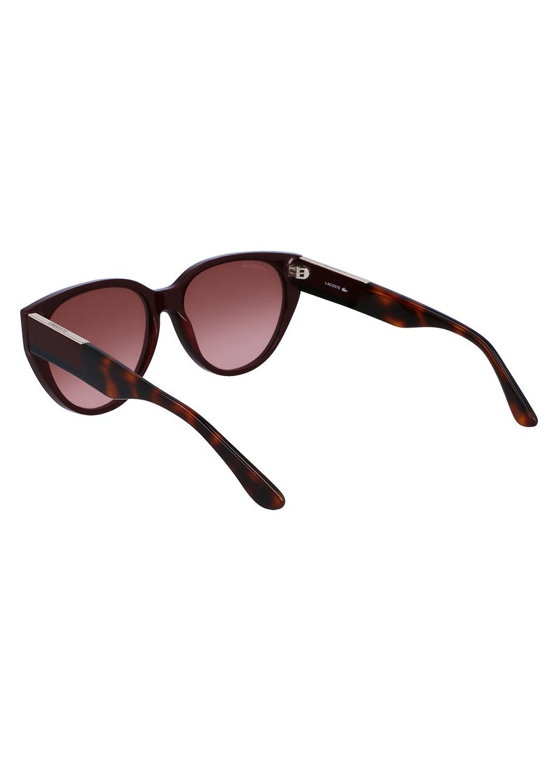 Full Rim Acetate Oval Lacoste Suns L985S 5916 (603) Dark Red