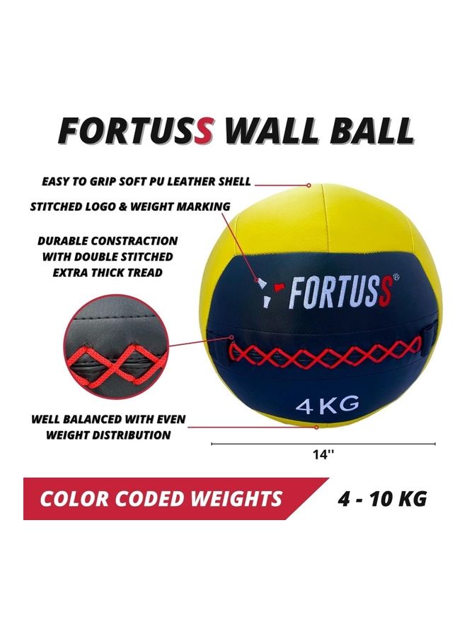 Wall Ball Medicine Ball 10kg