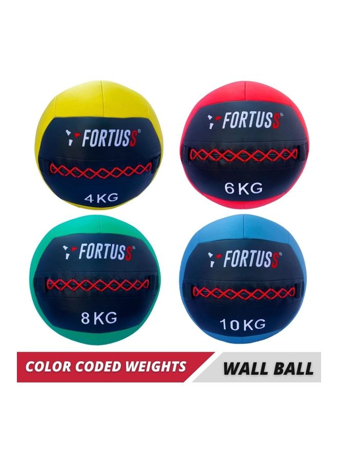 Wall Ball Medicine Ball 10kg