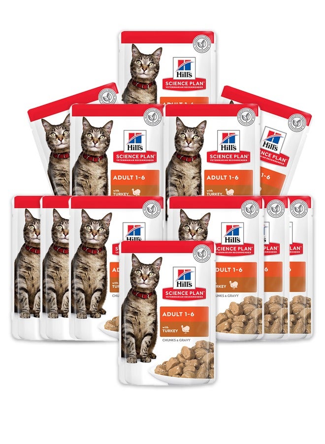 Adult Wet Cat Food Turkey - 12x85g