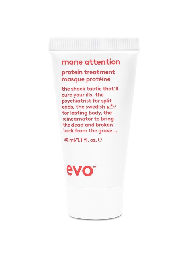 evo Mane Attention Protein Hair Treatment - Moisturize, Repairs & Strengthens Hair - Travel Size, 30ml / 1.01fl.oz