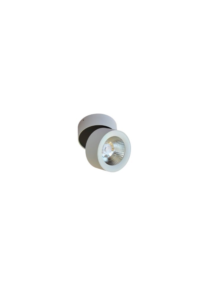 Euroluce Spotlight Frame, LED Bulb Type, Adjustable Surface Mounted, 10W Cree, LC1295, White