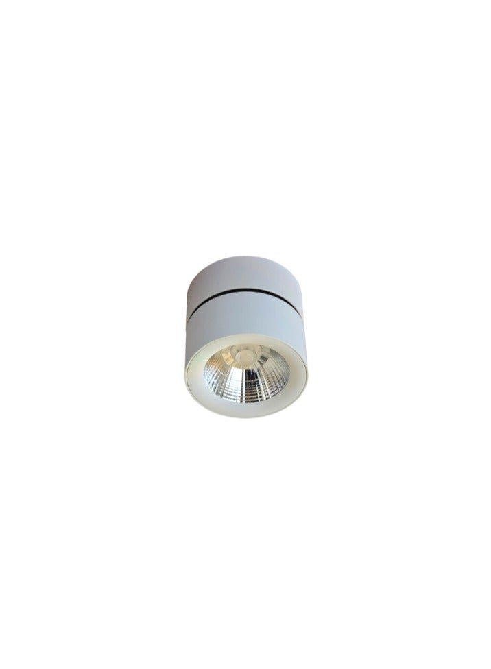 Euroluce Spotlight Frame, LED Bulb Type, Adjustable Surface Mounted, 10W Cree, LC1295, White