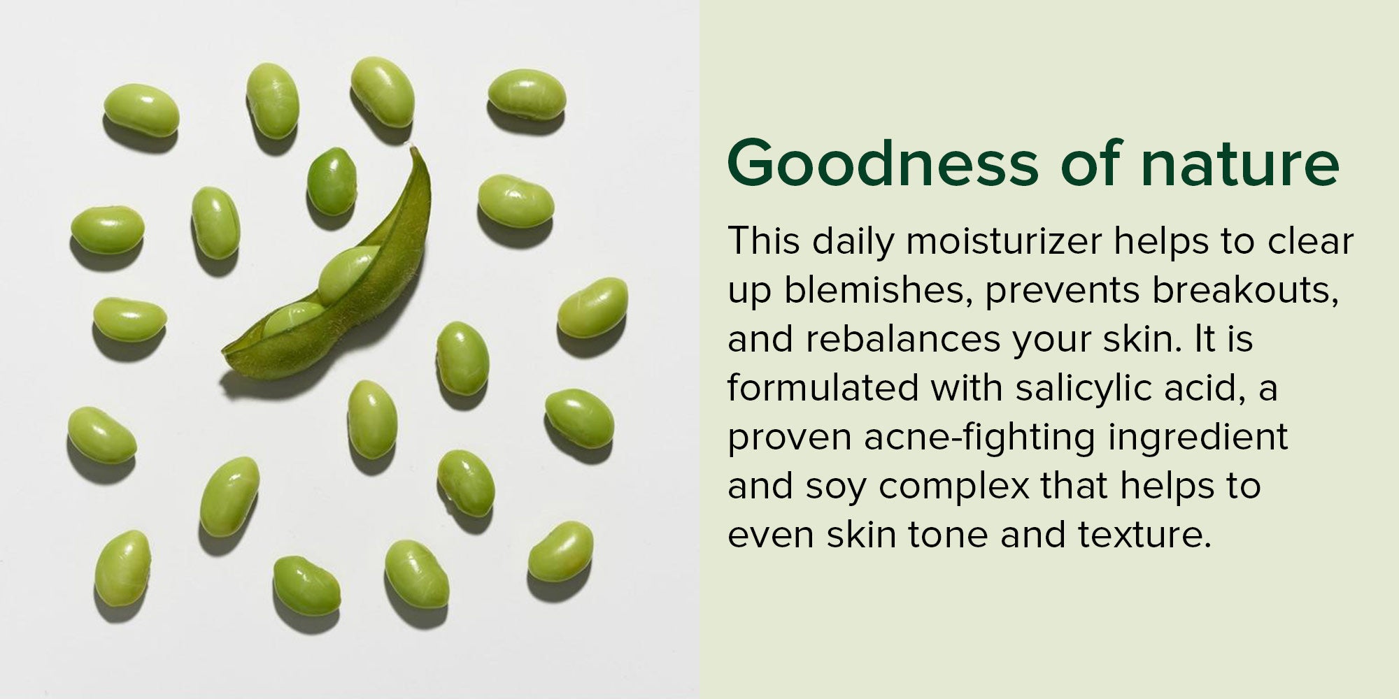 Active Naturals Clear Complexion Daily Moisturizer 4 Oz (Pack Of 3)
