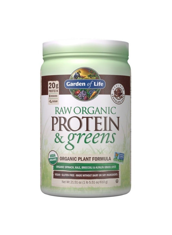 Garden Of Life Raw Organic Protein and Greens, 20g Protein Organic Plant Formula Real Raw Chocolate 1 LB