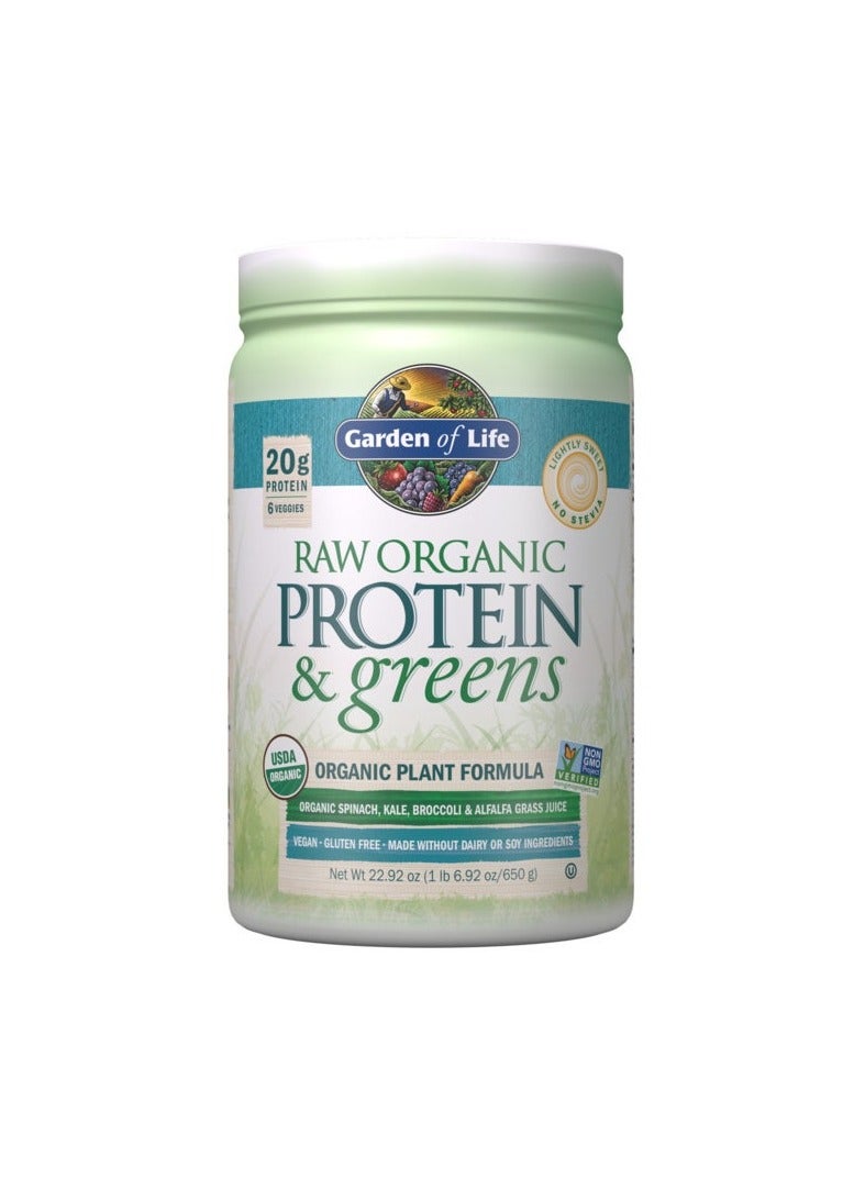 Garden Of Life Raw Organic Protein and Greens, 20g Protein Organic Plant Formula Lightly Sweet No Stevia 1 LB