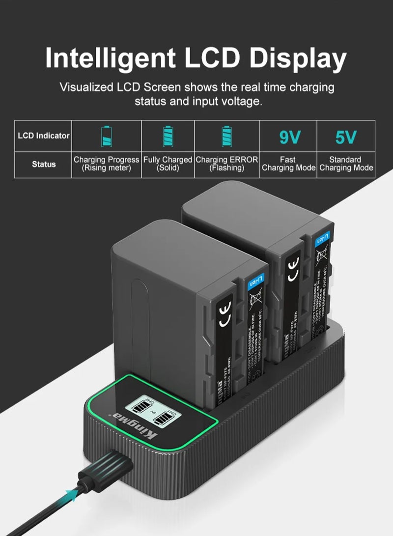 Kingma F550 Charger with USB-C Suitable for Sony NP-F550, 750, 970, 990 (BM058Q.NPF550)