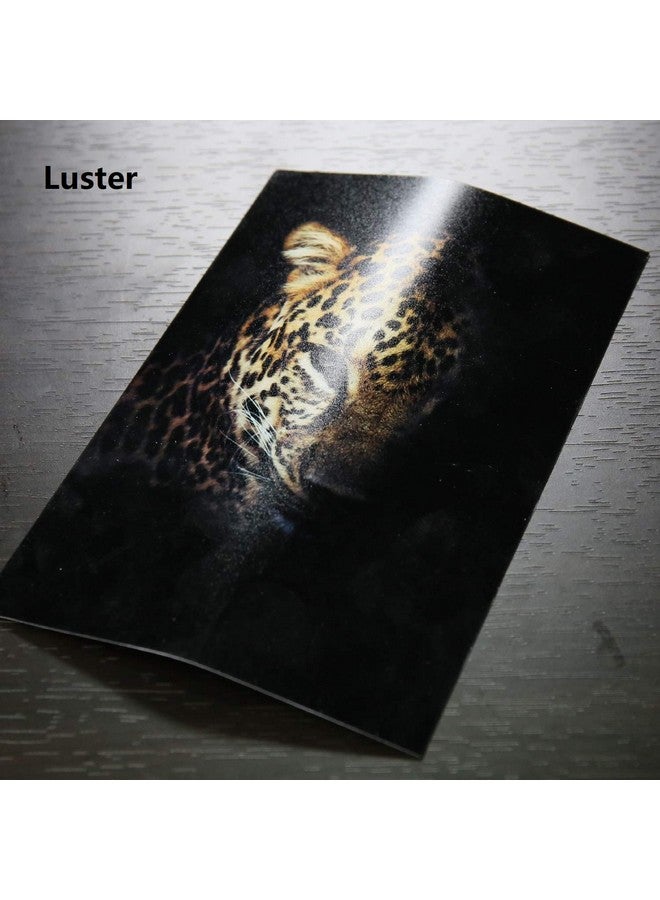 Premium Photo Paper Luster 11X17 Inch 66Lb For Inkjet Printers 50 Sheets Single Sided