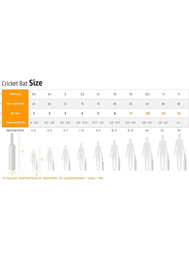 Wildfire Volcano Kashmir Willow Cricket Bat | Ultimate Power | Precision Control |  Unmatched Durability