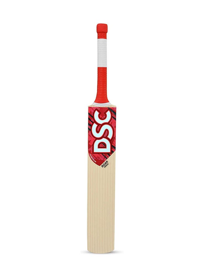 Roar Terra Kashmir Willow Cricket Bat Durable Material | Ergonomic Handle | Optimized Balance | Impact Resistance