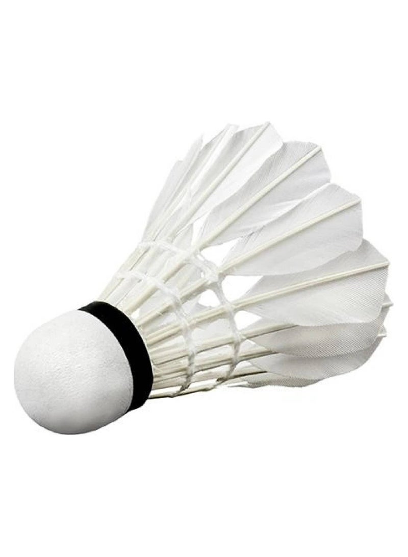 Feather Shuttlecock Set Wish badminton shuttlecocks S505-03 12 Pcs White