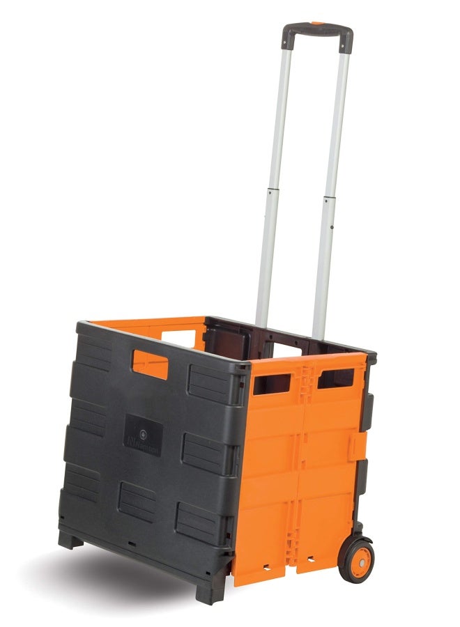 Folding Shopping Cart Na 0169