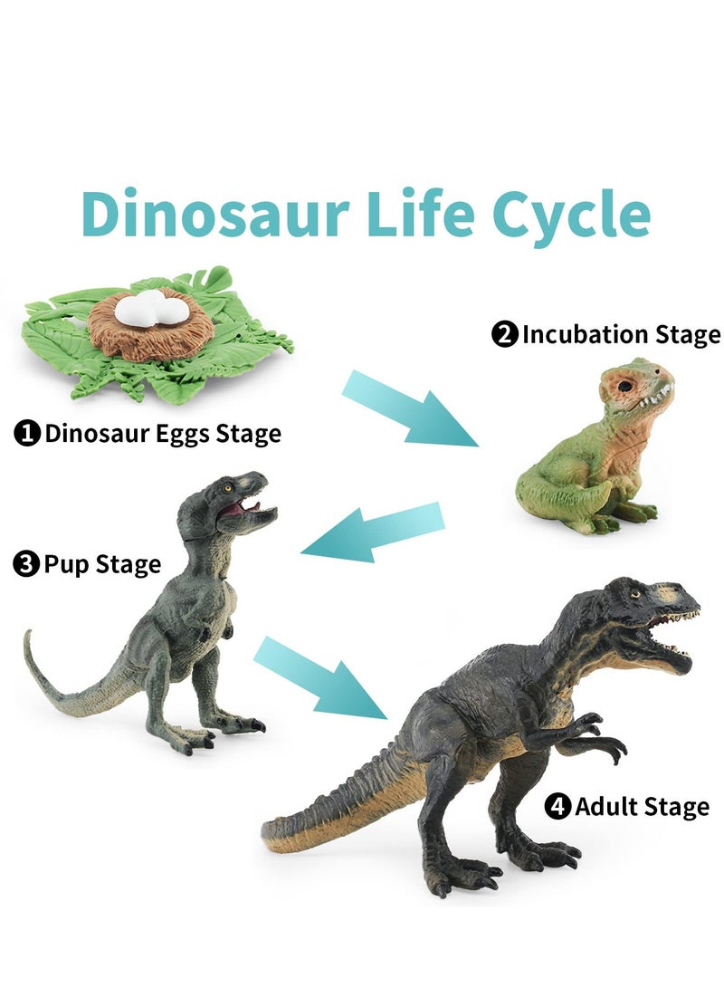 Tyrannosaurus Rex Life Cycle Toy Set - 5PCS Dinosaur Figurines for Kids, Dino Playset Growth Kit, Montessori Learning Toy