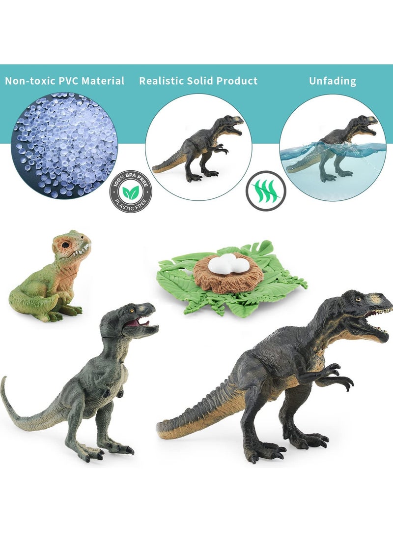 Tyrannosaurus Rex Life Cycle Toy Set - 5PCS Dinosaur Figurines for Kids, Dino Playset Growth Kit, Montessori Learning Toy