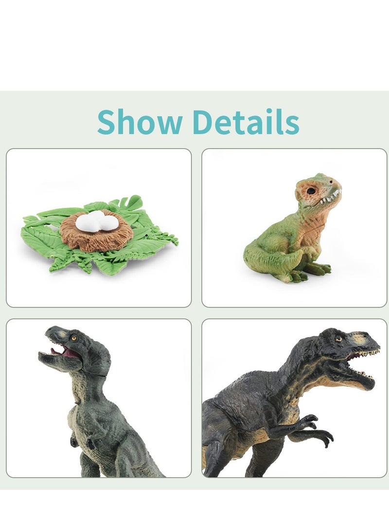 Tyrannosaurus Rex Life Cycle Toy Set - 5PCS Dinosaur Figurines for Kids, Dino Playset Growth Kit, Montessori Learning Toy