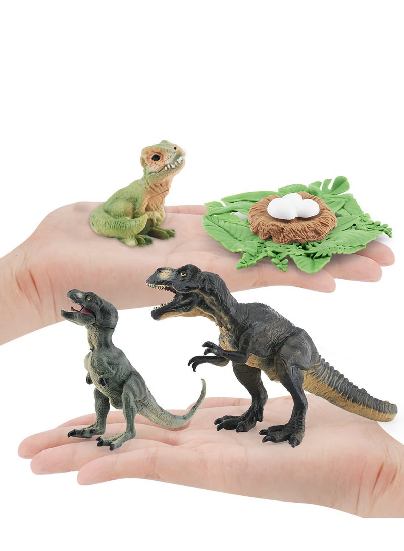 Tyrannosaurus Rex Life Cycle Toy Set - 5PCS Dinosaur Figurines for Kids, Dino Playset Growth Kit, Montessori Learning Toy
