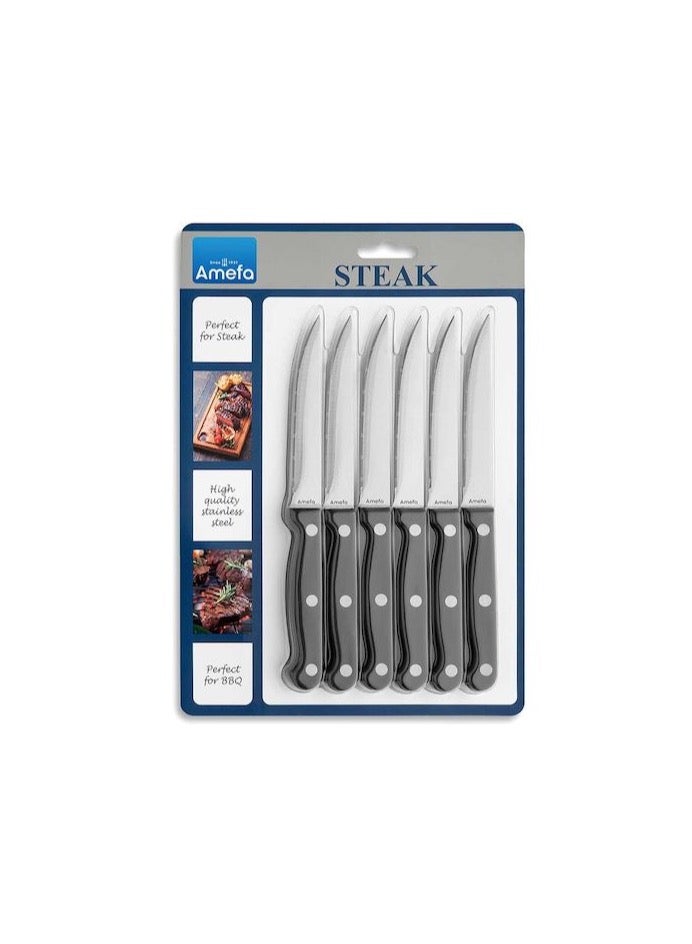 Steak knife set on Blister card 6pcs.