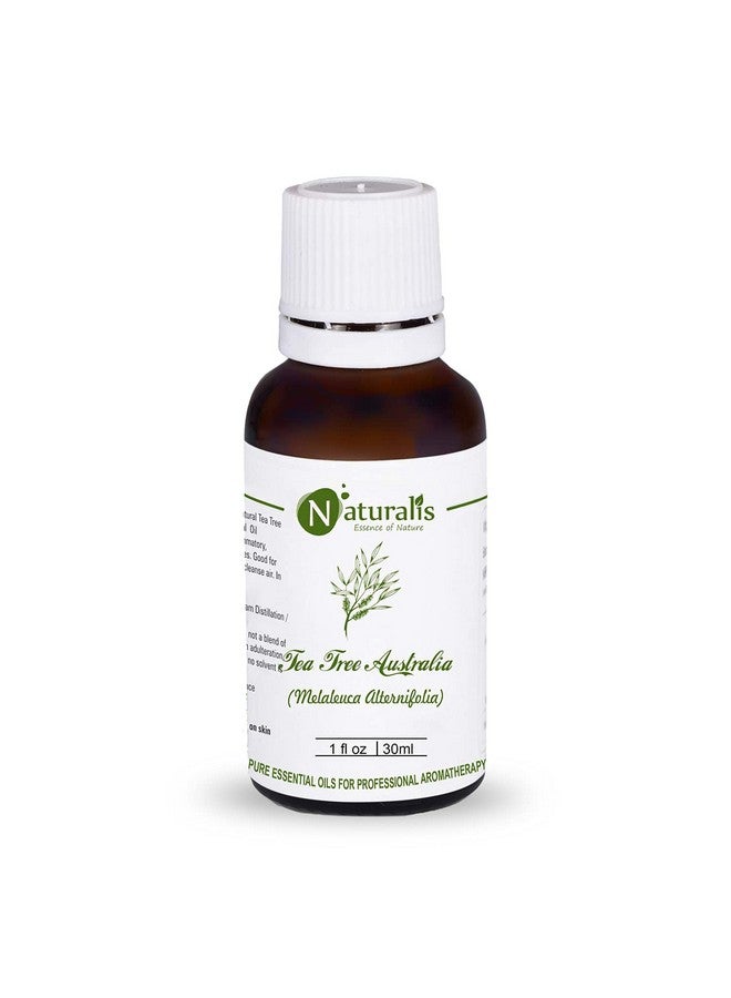 Essence Of Nature Australian Tea Tree Essential Oil For Acne Pimples Scars Skin Face Hair Care & Antidandruff 30Ml