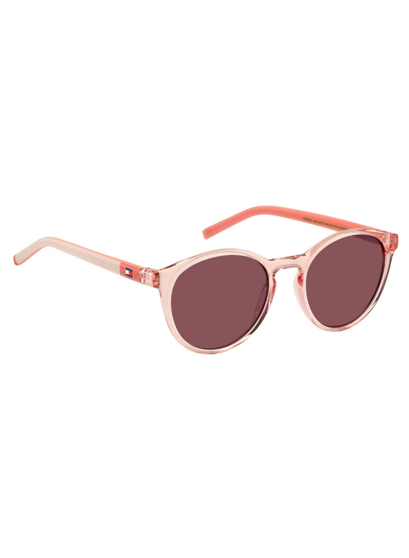 TOMMY HILFIGER PANTHOS Sunglasses