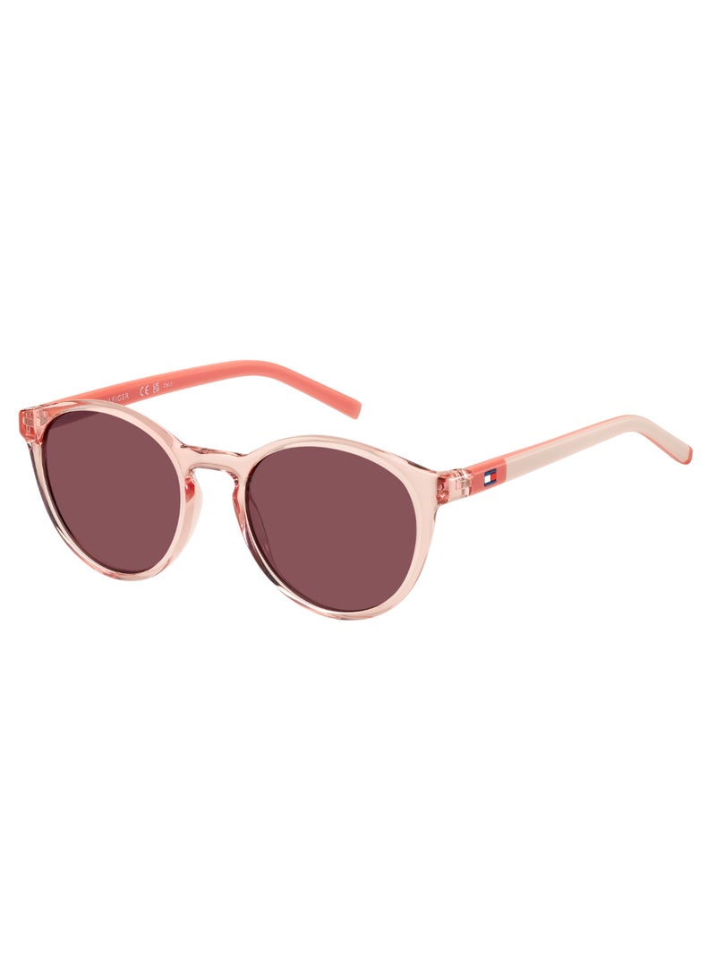 TOMMY HILFIGER PANTHOS Sunglasses