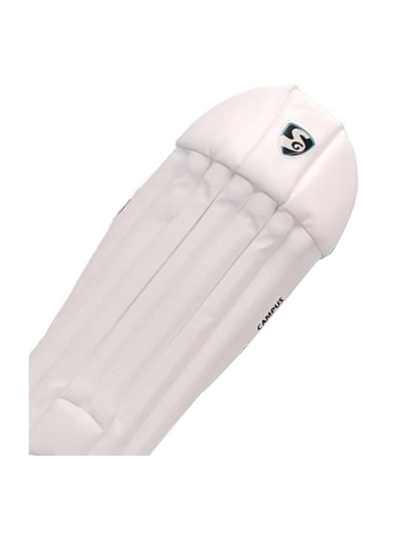 Campus Wicket Keeping Leg Guards, Junior | PVC | Shock absorption | Hook & Look | Cricket