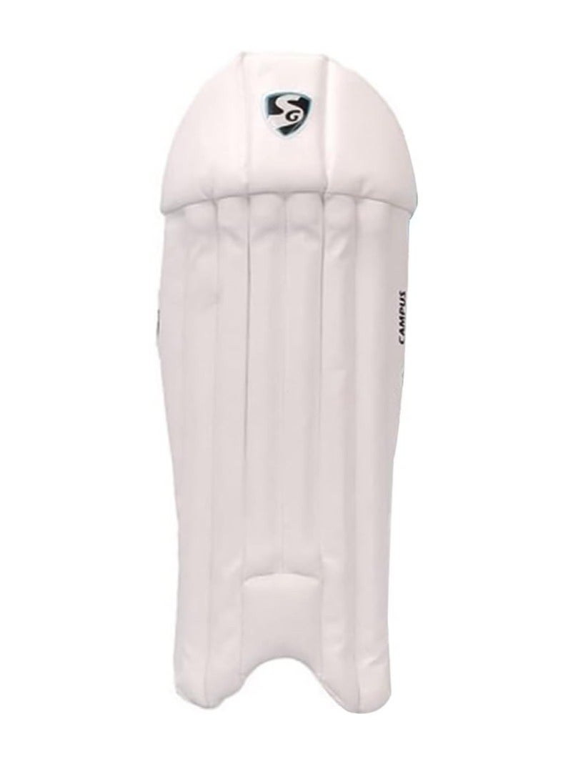 Campus Wicket Keeping Leg Guards, Junior | PVC | Shock absorption | Hook & Look | Cricket