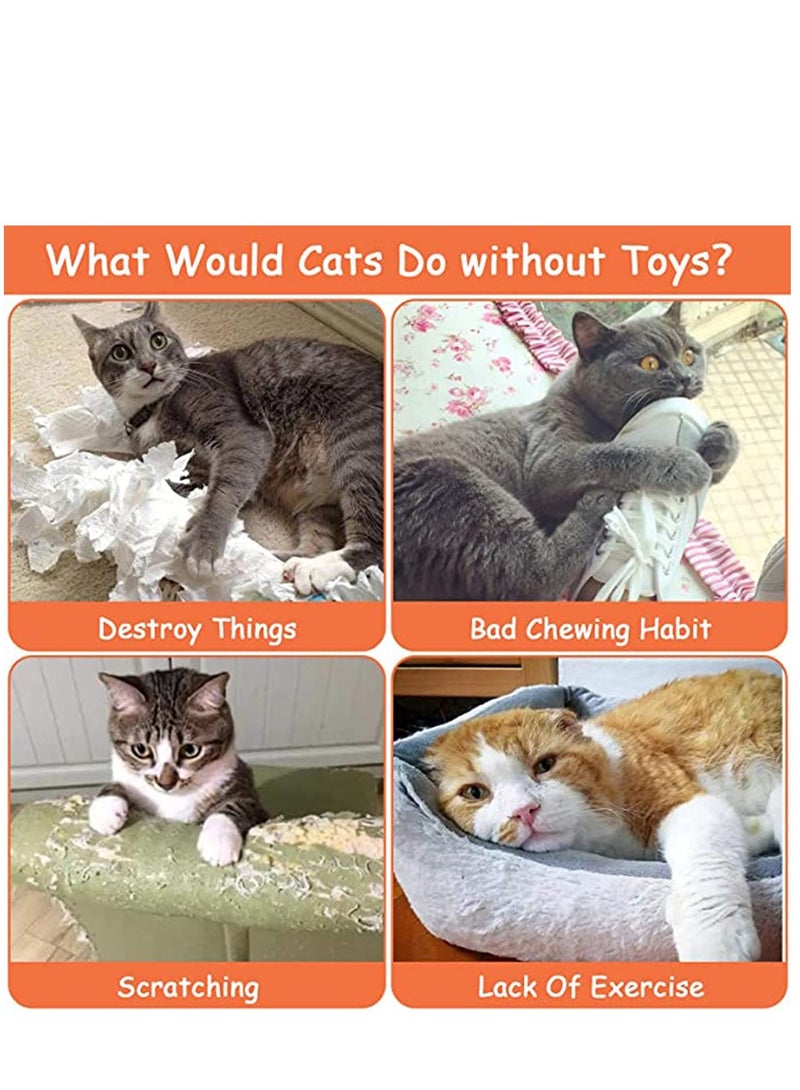 Cat Toys, Cat Chew Catnip Interactive Toy for Cat Lover Indoor Gift Cat Kitty Bite Toys Supplies Plush Gifts Fun Playing Toy
