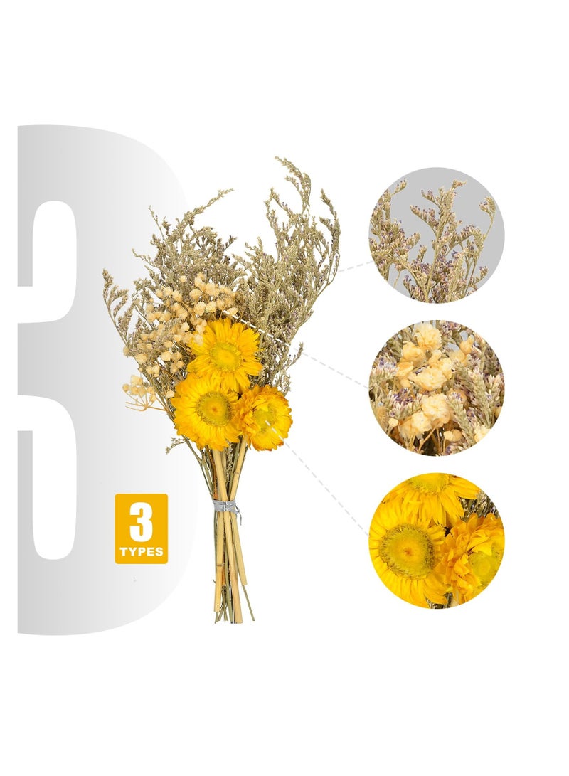 Eternal Sunflower Preserved Flowers, Long-Lasting Sunflower Flower Gift, with Desmodium Gyrans in a Box, Gifts for Valentines Day, Mothers Day, Birthday, Graduate, Thanksgiving