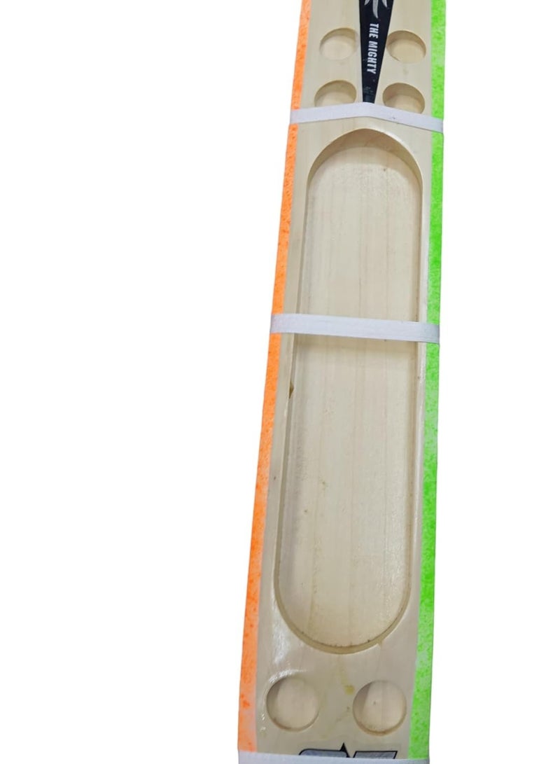 Hard Tennis Bat modern