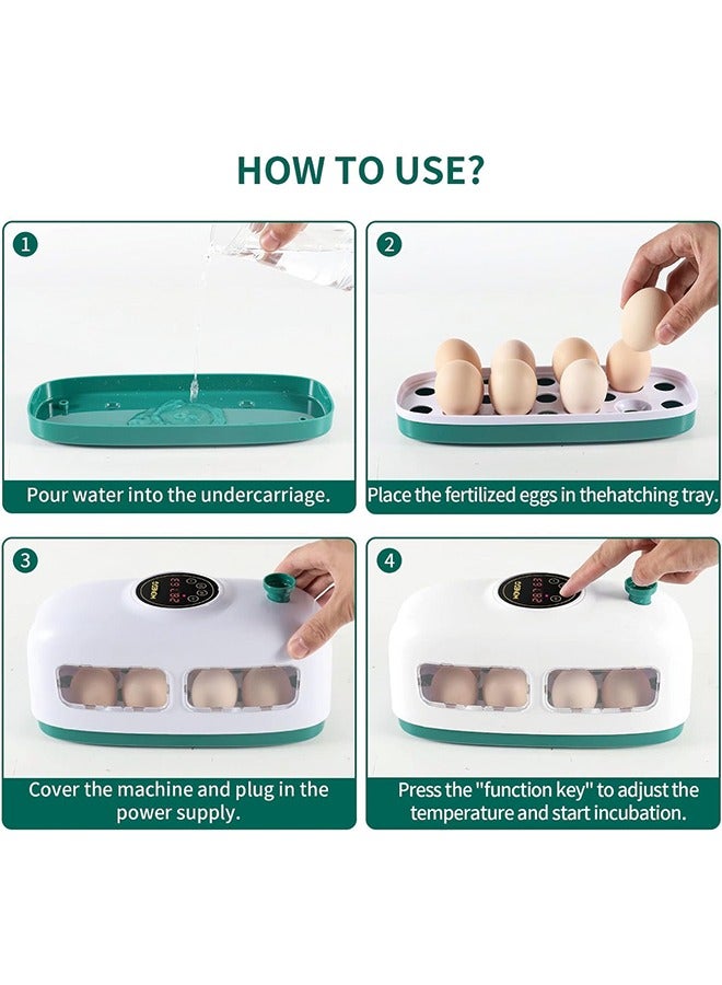 Egg Incubator, 8 Eggs Poultry Hatcher with Humidity Temperature Control, Led Candler and Display, Mini Chicken Incubator for Hatching Chicks, Quail Duck Goose Bird Turkey Eggs