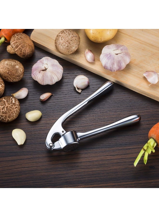 Garlic Press, Zinc Alloy Premium Garlic Press Sturdy Good Grips Garlic Crusher Heavy Duty, Dishwasher Safe