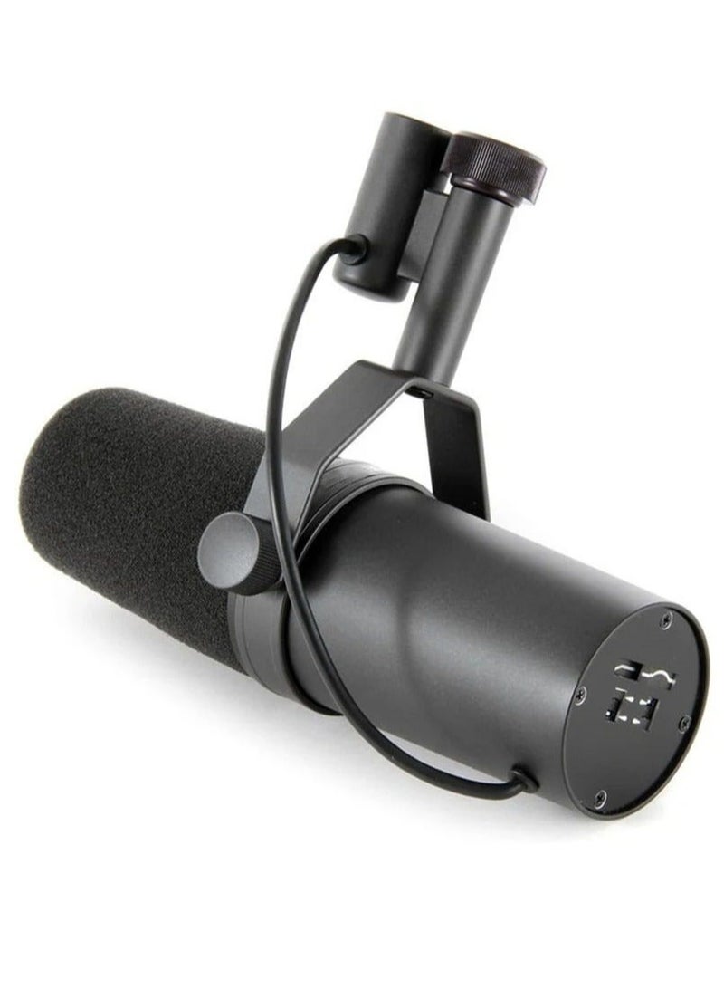 Professional Dynamic Microphone, Cardioid Dynamic Microphone Studio Selectable Frequency Response Microphone for Live Stage Recording Podcasting