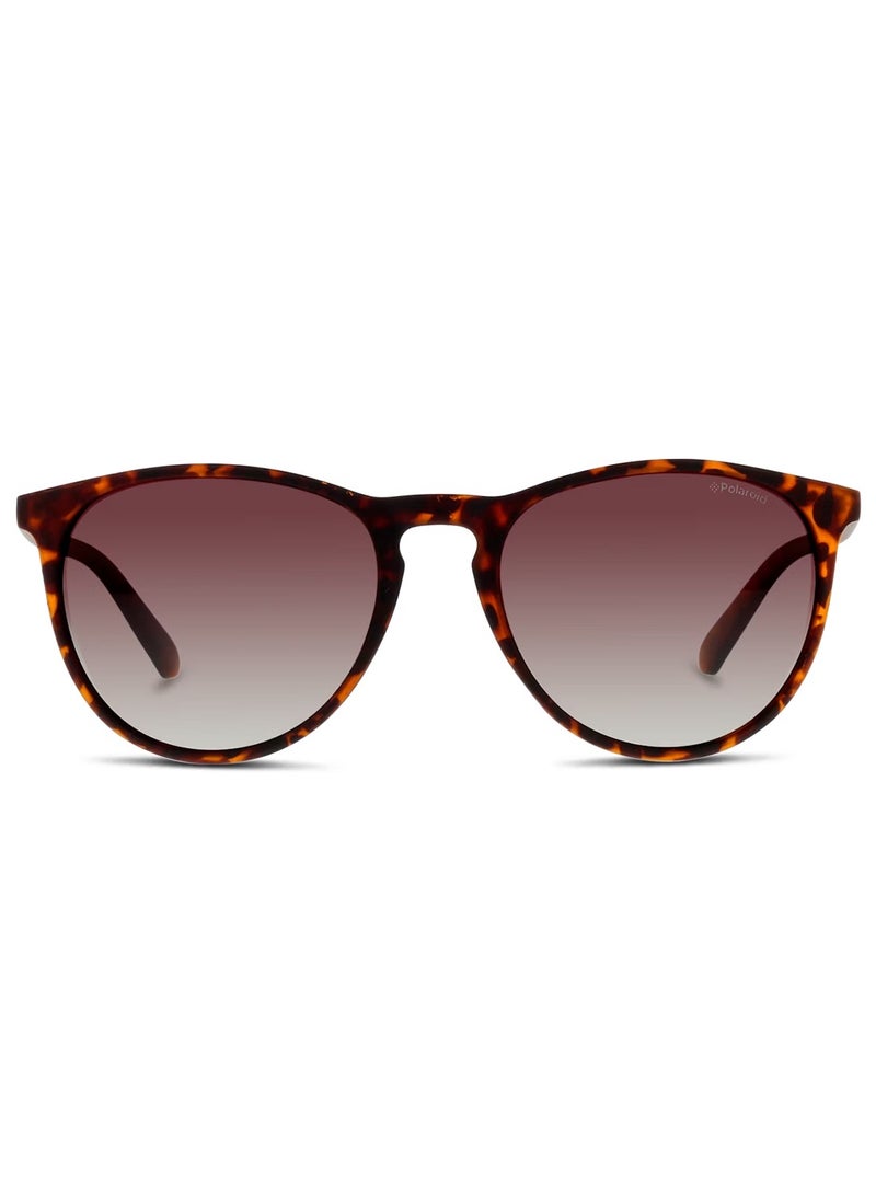 POLAROID PANTHOS Sunglasses