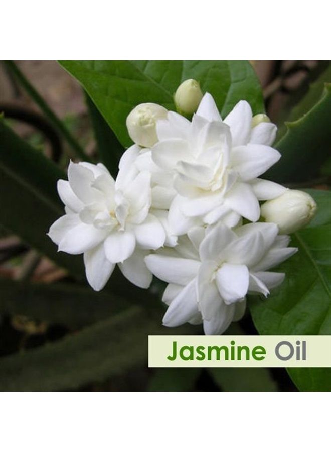 Jasmine (Jasminum Grandiflorum) Essential Oil 100% Pure & Natural Undiluted Uncut Oil | Use for Aromatherapy, Skin & Hair - Therapeutic Grade - (50 ML)