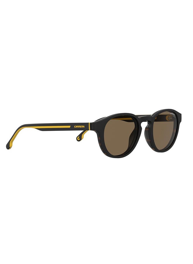 Panthos Sunglasses