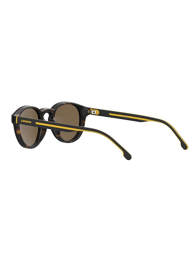 Panthos Sunglasses