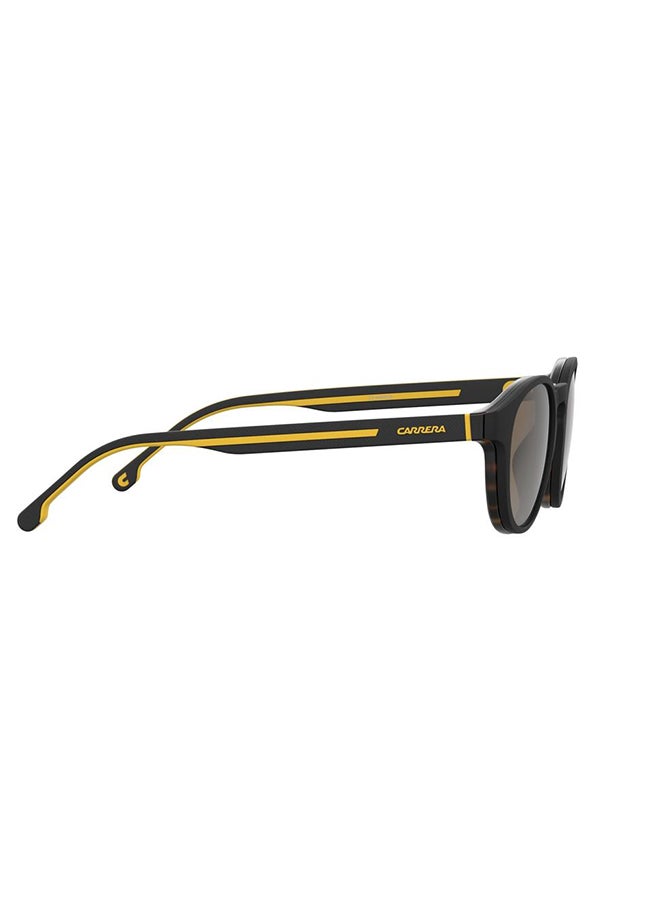 Panthos Sunglasses