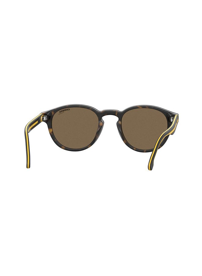 Panthos Sunglasses