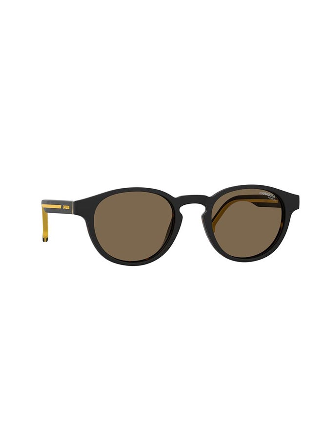 Panthos Sunglasses