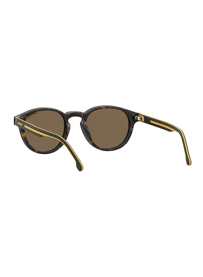 Panthos Sunglasses