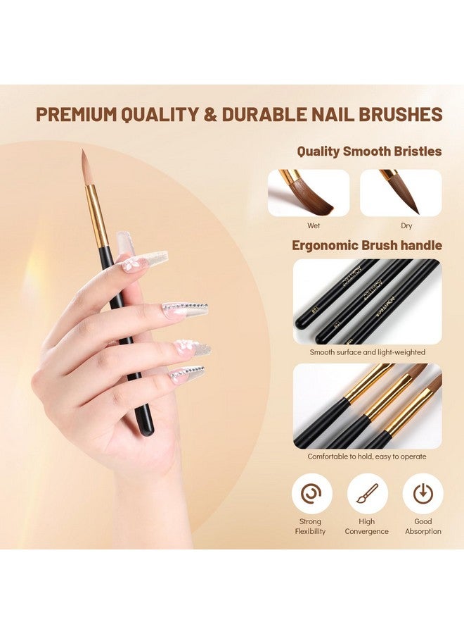 3Pcs Acrylic Nail Brush Set Size 101214 Kolinsky Nail Brushes For Acrylic Application Nail Art Brushes For Acrylic Powder Perfect For Nail Extension For Beginner & Professional