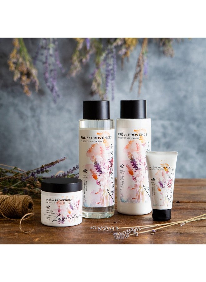 Provincial Collection Lavender Oil Infused Luxurious & Soothing Body Wash 10.1 Fl Oz
