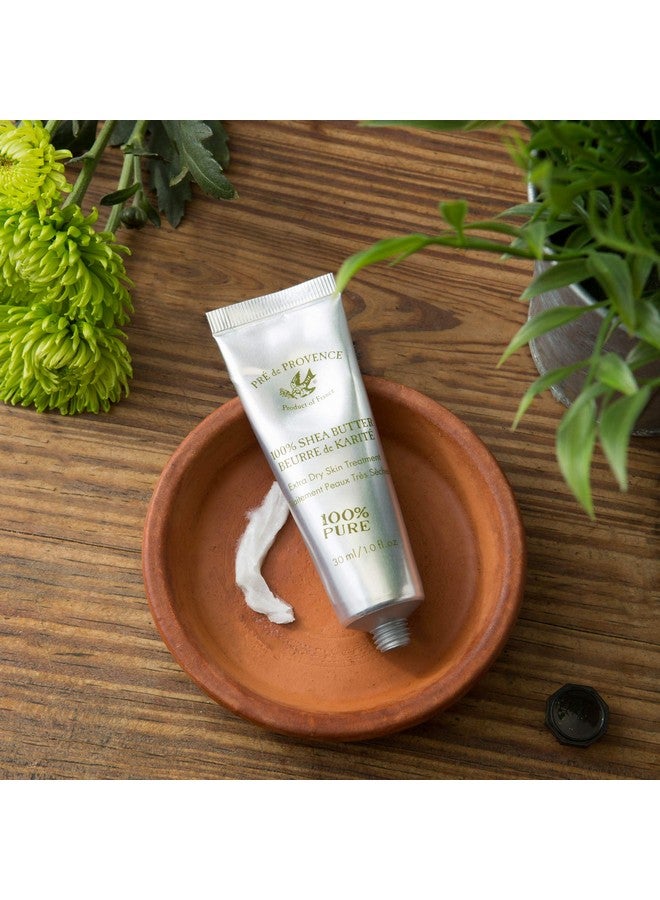 Beurre De Karité Moisturizing Collection Shea Butter Enriched Nourishing Pure Shea Butter 35 Ml Unscented