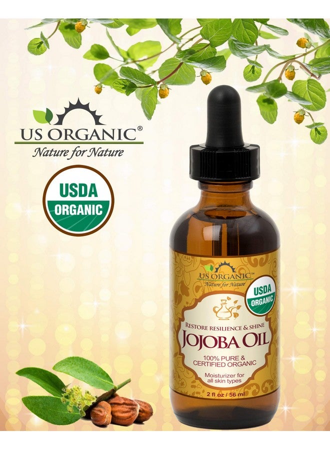 Jojoba Oil, Usda Certified Organic,100% Pure & Natural, Cold Pressed Virgin, Unrefined, Haxane Free, Sourced From Middle East Directly (Small (2Oz, 56Ml))