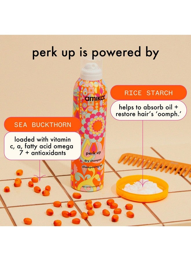 Perk Up Talcfree Dry Shampoo 9.5Oz