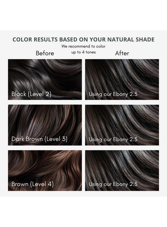 Permanent Hair Dye, 2.3 Ebony Black, Ammonia And Paraben Free, Up To 100% Gray Hair Coverage, Long Lasting, Vegan, Cruelty Free