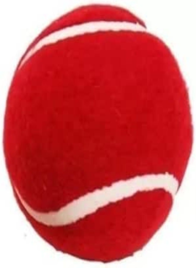 Cricket Hard Rubber Tennis Ball, (Pack of 6, Red)